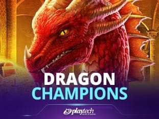 Dragon Champions screenshot